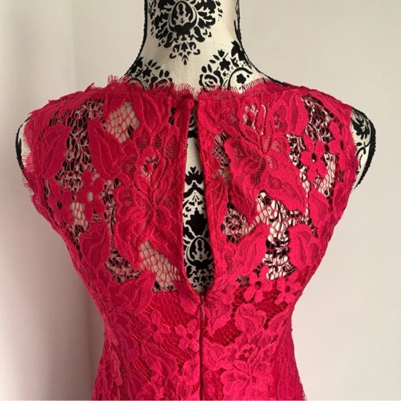 Adrianna Papell Vibrant Pink Lace Dress - Picture 5 of 12